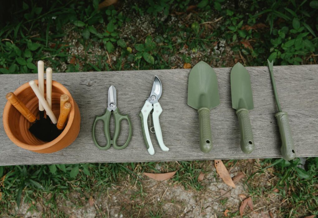 Įvairūs sodo įrankiai, tokie kaip kastuvas, grėblys ir sekatorius, padėti ant žalios vejos saulėtą dieną.